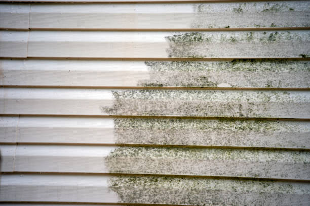 Best Engineered Wood Siding  in Siler City, NC