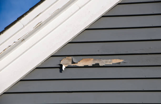 Best Aluminum Siding Installation  in Siler City, NC