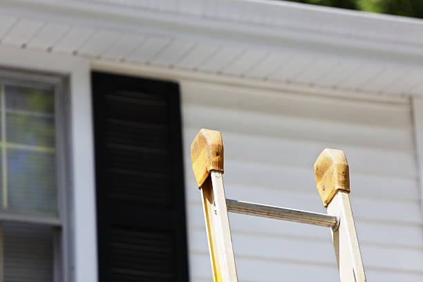 Best Custom Trim and Detailing for Siding  in Siler City, NC