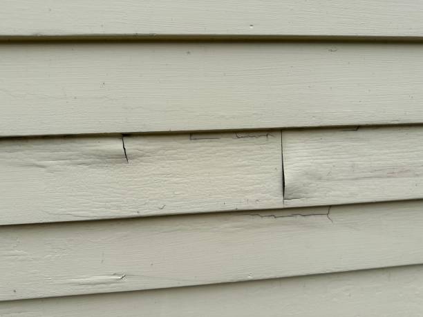 Best Fiber Cement Siding Installation  in Siler City, NC